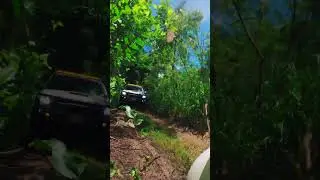 🌳 #4wdja