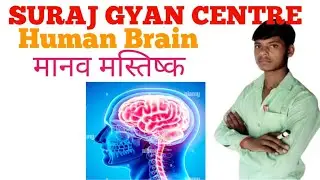 | Biology - Human Brain (मानव मस्तिष्क ) | Suraj Gyan Centre | Kaimganj