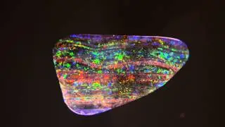 Top quality, 16.9 carat Australian Boulder Opal video by Biro Opal
