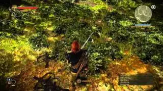 60. Let's Play The Witcher 2: Assassins of Kings - The Endrega Contract 2