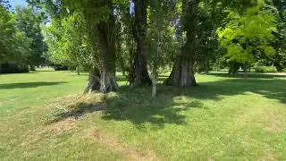Blenheim palace formal gardens 2