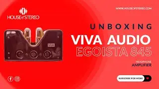 Viva Audio Egoista 845 | UNBOXING