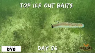 The BEST 3 Baits to Catch BIG Bass After Ice Out (Early Spring Fishing)
