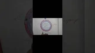 Mechanism of action of Anti-malarial drugs (chloroquine) #chloroquine ##malaria #anti-malaria