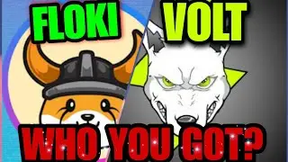 FLOKI OR VOLT INU WHAT SHOULD YOU BUY?? FULL REVIEW! #floki #flokiinu #volt #voltinu