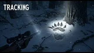Tracking a Werewolf: Hunter&rsquo;s First-Person POV Encounter