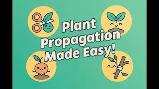 Plants Grow New Friends | Cutting, Layering, Grafting & Budding explained 🌱class 6 chapter 2.