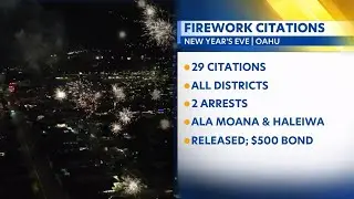 Fireworks crackdown: Honolulu police report 29 violations