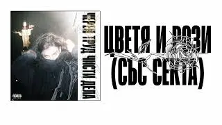 NOVEM - ЦВЕТЯ И РОЗИ (СЪС СЕКТА)