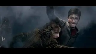 Sirius Black et Harry Potter 