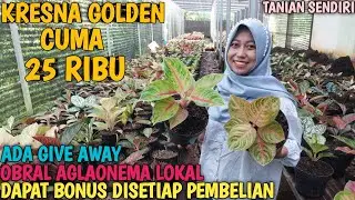 OBRAL AGLAONEMA 9 JANUARI 2026 | TANIAN SENDIRI | 100% AMANAH | GARANSI TOTAL ❗️