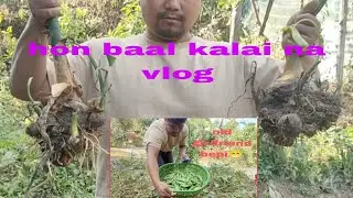 #vlog Hon na aum kham2 alai toh kalo na 🤣|| lou jong kinei lou.phai lei jong kinei kit deh lou 😞🤗