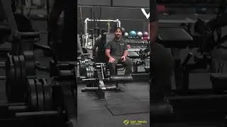 VMO Leg Extension