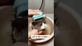 Unleash the Clean: Discover the Ultimate Pet Grooming Solution!