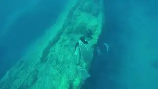 Vela Apnea 
