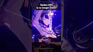 RAIDEN DPS IS NO LONGER META?