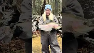 Client Catches a Giant Rainbow trout‼️#fyp #youtubeshorts #shorts #flyfishing #troutfishing