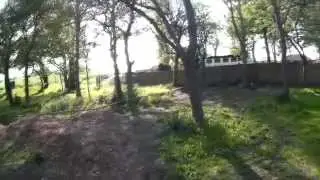 FPV forest floor train spotting - 250 quadcopter  - unexpected guest appearance