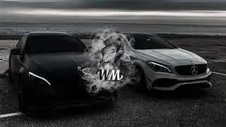 2Scratch - SHE WOLF (DOVERSTREET Remix) | Wolf 🐺 Music #bassmusic #wolfmusic #2scratch
