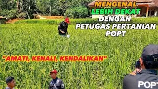 Rangkuman kegiatan pertemuan teknis petugas Pengendali Organisme Pengganggu Tumbuhan (POPT).