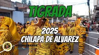 TIGRADA 2025 || CHILAPA DE ALVAREZ