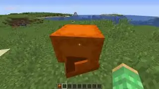 AFK Coral Farm 20,000 itemsh [infinitely automatic]  Minecraft_R