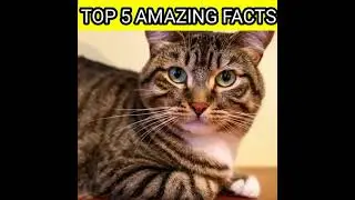#AMAZING FACTS#SHIVAM FACTS#TRENDING#VIRAL #YOUTUBE SHORTS#REELS