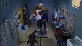 FULLER HOUSE - 
