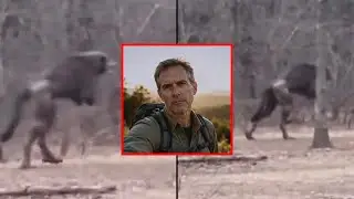 This Hiker Filmed a Beast in Vermont&hellip; What the Camera Caught Next Is Terrifying