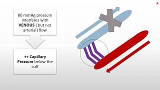 MED LEVEL2 CVS PHYSIOLOGY HESS TEST;CAPILLARY FRAGILITY 2020 1