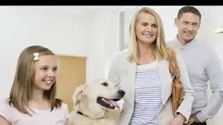 Nonprofit vet saves pets' lives and owners' money