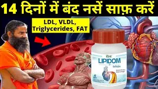 Divya Lipidom करेगी कोलेस्ट्रॉल का सफाया और हार्ट अटैक और ब्रेन अटैक जैसी गंभीर बीमारियों से बचिए