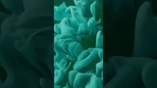 Teal Abstract Color and Style Mobile Video Background