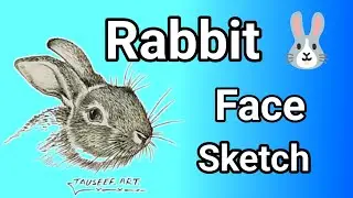 👉 Realistic Rabbit Face Drawing ✏️ | Pencil Sketch Art Step by Step