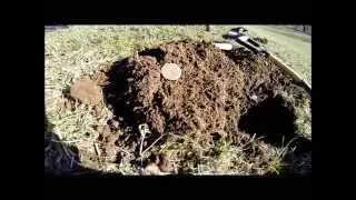 Metal Detecting in Perthshire with local club dig detecting Scotland
