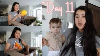 Produce Subscription Box + Boring Day | May Marathon Day. 11