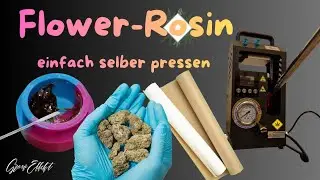 Flower Rosin pressen