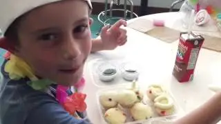 Ohana Cupcake Adventure