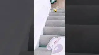 Rip to people with 2+ floors 😭 #memes #funny #stairs #audio