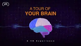 A Peak Inside Your Brain | VR Lesson