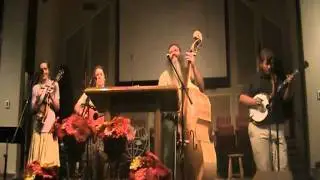 amazingly fast banjo player