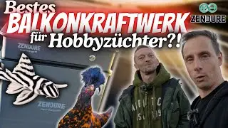 Dieses Balkonkraftwerk kann mehr als andere! - Zendure Hyper 2000