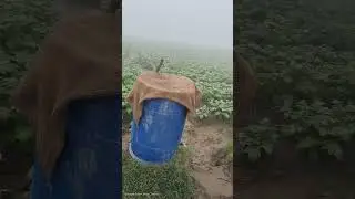 ORGANIC BEST MATTER OWDC . NWDC.NKP. TRICHODERMA.