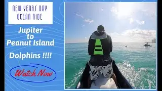 PWC New Years Day Ocean ride with beautiful blue water, great friends, and Dolphins