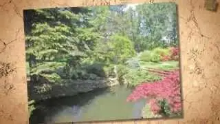 Edenbridge - Humber Valley Village Neighbourhood - Toronto West
