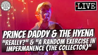 Prince Daddy & the Hyena 