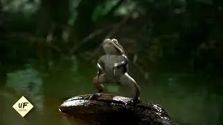 Weired unusual facts about evrrydays things interesting helpfull facts