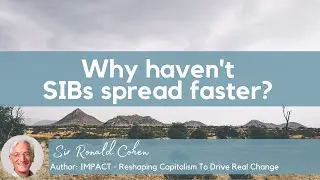 Why Haven't Social Impact Bonds (SIBs) Spread Faster?