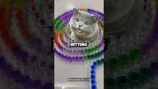 Are you the cheater 😂🤣 (Sound: @NutshellAnimations )