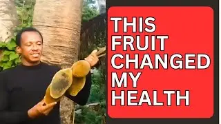 Baobab Fruit Benefits: The Superfood Drink That Boosts Immunity Naturally